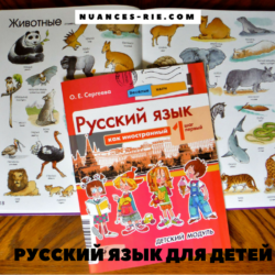 Русский язык для детей. Памятка