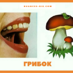 Артикуляционная гимнастика: путь к четкой и ясной речи