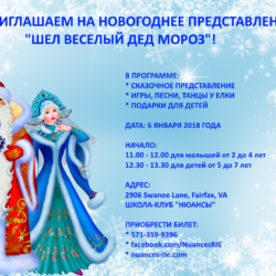 Новогоднее представление 2018