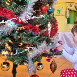 Whim on the Holyday – what to do?